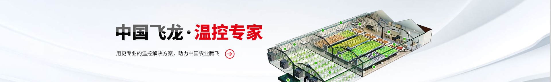 飛龍控溫