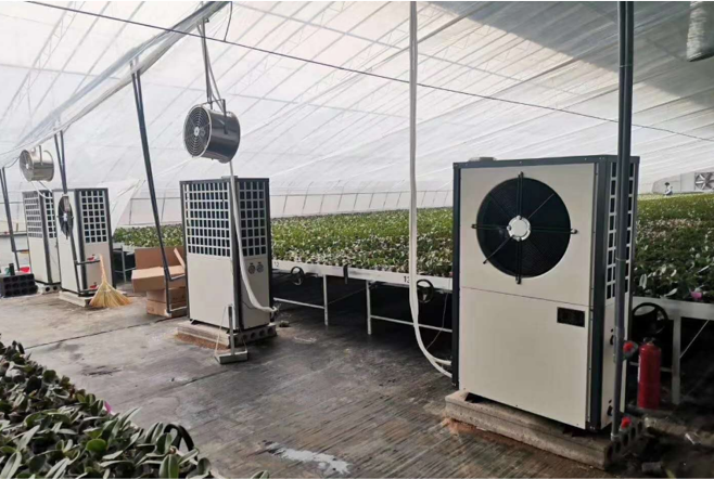 生物質(zhì)鍋爐-暖風(fēng)機(jī)-龍巖騰飛雙龍花卉-盧志斌（蝴蝶蘭種植-2萬(wàn)㎡）